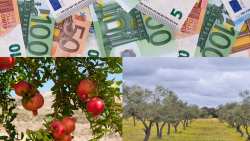 &Epsilon;&Lambda;&Gamma;&Alpha;: &Pi;&lambda;&eta;&rho;&omega;&mu;ή &Kappa;&Omicron;&Epsilon; &gamma;&iota;&alpha; &tau;&omicron; &pi;&rho;ό&gamma;&rho;&alpha;&mu;&mu;&alpha; &laquo;&Epsilon;&tau;ή&sigma;&iota;&omicron; 2021&raquo; - &Alpha;&phi;&omicron;&rho;ά &zeta;&eta;&mu;&iota;έ&sigmaf; &alpha;&pi;ό &pi;&alpha;&gamma;&epsilon;&tau;ό &sigma;&epsilon; &epsilon;&lambda;&iota;έ&sigmaf; &kappa;&alpha;&iota; &rho;ό&delta;&iota;&alpha;