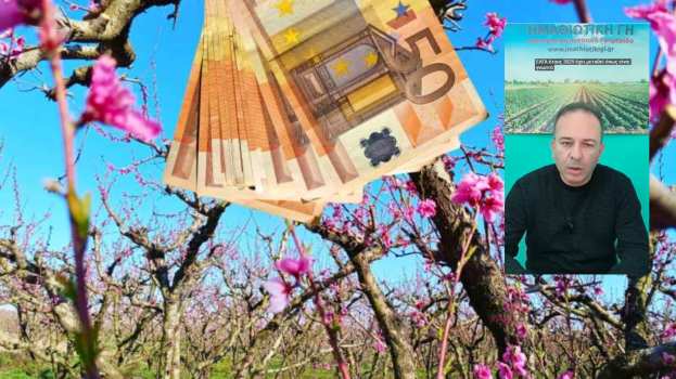 &Pi;ό&tau;&epsilon; &pi;&lambda;&eta;&rho;ώ&nu;&omicron;&nu;&tau;&alpha;&iota; &omicron;&iota; &alpha;&pi;&omicron;&zeta;&eta;&mu;&iota;ώ&sigma;&epsilon;&iota;&sigmaf; &gamma;&iota;&alpha; &tau;&omicron;&upsilon;&sigmaf; &alpha;&nu;&omicron;&iota;&xi;&iota;ά&tau;&iota;&kappa;&omicron;&upsilon;&sigmaf; &pi;&alpha;&gamma;&epsilon;&tau;&omicron;ύ&sigmaf; (&Beta;ί&nu;&tau;&epsilon;&omicron;)