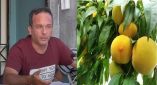 &Beta;&omicron;&rho;&gamma;&iota;ά&delta;&eta;&sigmaf; &Chi;&rho;ή&sigma;&tau;&omicron;&sigmaf; &gamma;&iota;&alpha; &tau;&eta;&nu; &delta;&iota;&alpha;&mu;ό&rho;&phi;&omega;&sigma;&eta; &tau;&iota;&mu;ή&sigmaf; &sigma;&upsilon;&mu;&pi;ύ&rho;&eta;&nu;&omicron;&upsilon; &rho;&omicron;&delta;ά&kappa;&iota;&nu;&omicron;&upsilon;: &Eta; &epsilon;&pi;&iota;&chi;&epsilon;&iota;&rho;&eta;&mu;&alpha;&tau;&omicron;&lambda;&omicron;&gamma;ί&alpha; &tau;&eta;&sigmaf; &Epsilon;&Kappa;&Epsilon; &delta;&epsilon;&nu; &epsilon;ί&nu;&alpha;&iota; &epsilon;&pi;&alpha;&rho;&kappa;ώ&sigmaf; &theta;&epsilon;&mu;&epsilon;&lambda;&iota;&omega;&mu;έ&nu;&eta; (&Beta;ί&nu;&tau;&epsilon;&omicron;)