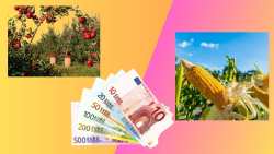 &Omicron;&Pi;&Epsilon;&Kappa;&Epsilon;&Pi;&Epsilon; &gamma;&iota;&alpha; &sigma;&upsilon;&nu;&delta;&epsilon;&delta;&epsilon;&mu;έ&nu;&epsilon;&sigmaf;: &Sigma;&tau;ό&chi;&omicron;&sigmaf; &eta; &pi;&lambda;&eta;&rho;&omega;&mu;ή &tau;&omicron;&upsilon;&sigmaf; &pi;&rho;&iota;&nu; &alpha;&pi;ό &tau;&omicron; &Pi;ά&sigma;&chi;&alpha;