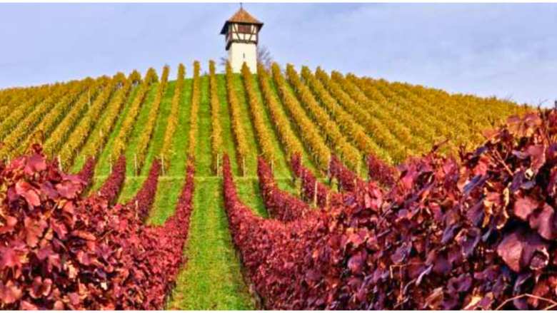 &Gamma;&epsilon;&omega;&rho;&gamma;&iota;&kappa;έ&sigmaf; &pi;&rho;&omicron;&epsilon;&iota;&delta;&omicron;&pi;&omicron;&iota;ή&sigma;&epsilon;&iota;&sigmaf; &gamma;&iota;&alpha; &tau;&omicron; &Alpha;&mu;&pi;έ&lambda;&iota;