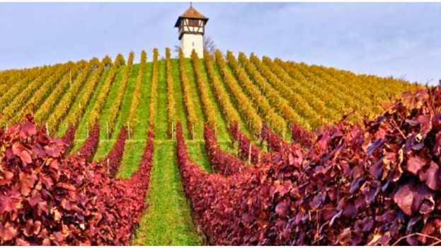 &Gamma;&epsilon;&omega;&rho;&gamma;&iota;&kappa;έ&sigmaf; &pi;&rho;&omicron;&epsilon;&iota;&delta;&omicron;&pi;&omicron;&iota;ή&sigma;&epsilon;&iota;&sigmaf; &gamma;&iota;&alpha; &tau;&omicron; &Alpha;&mu;&pi;έ&lambda;&iota;