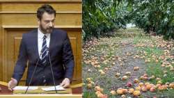 &Epsilon;&pi;&iota;&kappa;&omicron;&iota;&nu;&omega;&nu;ί&alpha; &Tau;ά&sigma;&omicron;&upsilon; &Mu;&pi;&alpha;&rho;&tau;&zeta;ώ&kappa;&alpha; &mu;&epsilon; &tau;&omicron;&nu; &Upsilon;&pi;&Alpha;&Alpha;&Tau;, &kappa;. &Gamma;&epsilon;&omega;&rho;&gamma;&alpha;&nu;&tau;ά, &gamma;&iota;&alpha; &tau;&eta;&nu; &sigma;&tau;&rho;&epsilon;&mu;&mu;&alpha;&tau;&iota;&kappa;ή &epsilon;&nu;ί&sigma;&chi;&upsilon;&sigma;&eta; ό&lambda;&omega;&nu; &tau;&omega;&nu; &pi;&alpha;&rho;&alpha;&gamma;&omega;&gamma;ώ&nu; &sigma;&upsilon;&mu;&pi;ύ&rho;&eta;&nu;&omega;&nu; &kappa;&alpha;&iota; &epsilon;&pi;&iota;&tau;&rho;&alpha;&pi;έ&zeta;&iota;&omega;&nu;