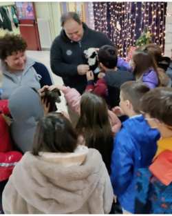 &Alpha;&gamma;&kappa;&alpha;&lambda;&iota;ά&sigma;&tau;&epsilon; έ&nu;&alpha; &alpha;&rho;&nu;ί-&pi;&rho;ό&beta;&alpha;&tau;&omicron;&hellip;