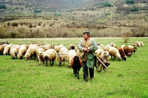 &Sigma;&epsilon; &iota;&sigma;&chi;ύ &nu;έ&alpha; &mu;έ&tau;&rho;&alpha; &epsilon;&lambda;έ&gamma;&chi;&omicron;&upsilon; &tau;&eta;&sigmaf; &alpha;&gamma;&omicron;&rho;ά&sigmaf; &gamma;ά&lambda;&alpha;&kappa;&tau;&omicron;&sigmaf; &gamma;&iota;&alpha; &tau;&eta;&nu; &pi;&rho;&omicron;&sigma;&tau;&alpha;&sigma;ί&alpha; &tau;&omega;&nu; &kappa;&tau;&eta;&nu;&omicron;&tau;&rho;ό&phi;&omega;&nu; &mu;&alpha;&sigmaf;