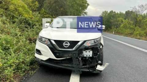 &Tau;&rho;&omicron;&chi;&alpha;ί&omicron; &alpha;&tau;ύ&chi;&eta;&mu;&alpha; &mu;&epsilon; &nu;&epsilon;&kappa;&rho;ό &zeta;&alpha;&rho;&kappa;ά&delta;&iota; έ&xi;&omega; &alpha;&pi;ό &tau;&omicron;&upsilon;&sigmaf; &Alpha;&mu;&pi;&epsilon;&lambda;ό&kappa;&eta;&pi;&omicron;&upsilon;&sigmaf; &Kappa;&alpha;&sigma;&tau;&omicron;&rho;&iota;ά&sigmaf;