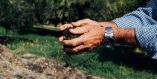 &Mu;&epsilon;&iota;ώ&sigma;&epsilon;&iota;&sigmaf; έ&omega;&sigmaf; 60% &sigma;&epsilon; &sigma;&upsilon;&nu;&tau;&alpha;&xi;&iota;&omicron;ύ&chi;&omicron;&upsilon;&sigmaf; &pi;&omicron;&upsilon; έ&chi;&omicron;&upsilon;&nu; &kappa;&alpha;&iota; &epsilon;&iota;&sigma;ό&delta;&eta;&mu;&alpha; &alpha;&pi;ό &alpha;&gamma;&rho;&omicron;&tau;&iota;&kappa;ή &delta;&rho;&alpha;&sigma;&tau;&eta;&rho;&iota;ό&tau;&eta;&tau;&alpha;