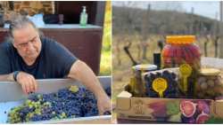 &Eta; &phi;ά&rho;&mu;&alpha; &tau;&omicron;&upsilon; &Beta;&alpha;&sigma;ί&lambda;&eta; &Kappa;&alpha;&rho;&rho;ά: &Omicron; &pi;&alpha;&rho;ά&delta;&epsilon;&iota;&sigma;ό&sigmaf; &tau;&omicron;&upsilon; &sigma;&tau;&omicron; &Kappa;&omicron;&kappa;&kappa;&iota;&nu;&omicron;&chi;ώ&rho;&iota; &kappa;&alpha;&iota; &eta; &tau;&epsilon;&lambda;&epsilon;&upsilon;&tau;&alpha;ί&alpha; &tau;&omicron;&upsilon; &kappa;&alpha;&tau;&omicron;&iota;&kappa;ί&alpha;