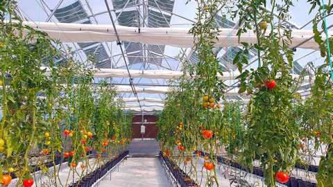 &Mu;&epsilon;&tau;&alpha;&pi;&tau;&upsilon;&chi;&iota;&alpha;&kappa;ό &sigma;&tau;&iota;&sigmaf; &Nu;&alpha;&nu;&omicron;&tau;&epsilon;&chi;&nu;&omicron;&lambda;&omicron;&gamma;ί&epsilon;&sigmaf; &kappa;&alpha;&iota; &tau;&iota;&sigmaf; &Nu;&alpha;&nu;&omicron;&epsilon;&pi;&iota;&sigma;&tau;ή&mu;&epsilon;&sigmaf;