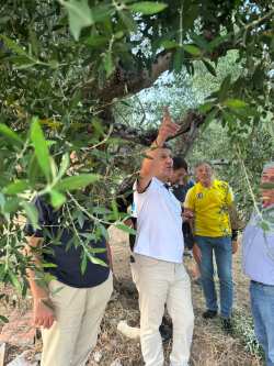 Έ&nu;&alpha;&rho;&xi;&eta; &pi;&rho;&omicron;&gamma;&rho;ά&mu;&mu;&alpha;&tau;&omicron;&sigmaf; &laquo;&Alpha;&nu;&omicron;&iota;&chi;&tau;ή &Alpha;&kappa;&alpha;&delta;&eta;&mu;ί&alpha; &Epsilon;&lambda;&alpha;&iota;&omicron;&kappa;&omicron;&mu;ί&alpha;&sigmaf; - &Mu;&epsilon;&sigma;&sigma;&eta;&nu;ί&alpha;