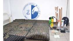 &Epsilon;&nu;&tau;&omicron;&pi;ί&sigma;&tau;&eta;&kappa;&epsilon; &chi;&alpha;&sigma;&iota;&sigma;&omicron;&phi;&upsilon;&tau;&epsilon;ί&alpha; &mu;&epsilon; 812 &delta;&epsilon;&nu;&delta;&rho;ύ&lambda;&lambda;&iota;&alpha; &sigma;&tau;&eta; &Mu;&epsilon;&sigma;&sigma;&eta;&nu;ί&alpha; - &Theta;&alpha; έ&phi;&epsilon;&rho;&nu;&epsilon; &kappa;έ&rho;&delta;&omicron;&sigmaf; 1 &epsilon;&kappa;&alpha;&tau;. &epsilon;&upsilon;&rho;ώ