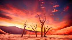 &Alpha;&nu;&omicron;&iota;&kappa;&tau;ό &Sigma;&chi;&omicron;&lambda;&epsilon;ί&omicron; &gamma;&iota;&alpha; &tau;&eta;&nu; &Kappa;&lambda;&iota;&mu;&alpha;&tau;&iota;&kappa;ή &Alpha;&lambda;&lambda;&alpha;&gamma;ή