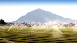 &Sigma;&tau;. &Alpha;&rho;&alpha;&chi;&omega;&beta;ί&tau;&eta;&sigmaf;: &ldquo;M&eta;&delta;&epsilon;&nu;&iota;&kappa;ή &pi;&rho;&omicron;&epsilon;&tau;&omicron;&iota;&mu;&alpha;&sigma;ί&alpha; &kappa;&alpha;&iota; &alpha;&pi;&epsilon;&upsilon;&theta;&epsilon;ί&alpha;&sigmaf; &alpha;&nu;&alpha;&theta;έ&sigma;&epsilon;&iota;&sigmaf; &mu;&pi;&rho;&omicron;&sigma;&tau;ά &sigma;&tau;&eta; &nu;έ&alpha; &Kappa;&Alpha;&Pi;&rdquo;