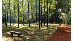 &Epsilon;&nu;&eta;&mu;έ&rho;&omega;&sigma;&eta; &gamma;&iota;&alpha; &tau;&eta;&nu; &alpha;&nu;ά&kappa;&lambda;&eta;&sigma;&eta; &tau;&eta;&sigmaf; &Alpha;&pi;ό&phi;&alpha;&sigma;&eta;&sigmaf; &tau;&omicron;&upsilon; &Alpha;&nu;&tau;&iota;&pi;&epsilon;&rho;&iota;&phi;&epsilon;&rho;&epsilon;&iota;ά&rho;&chi;&eta; &Pi;.&Epsilon;. &Eta;&mu;&alpha;&theta;ί&alpha;&sigmaf; &pi;&epsilon;&rho;ί &alpha;&pi;&alpha;&gamma;ό&rho;&epsilon;&upsilon;&sigma;&eta;&sigmaf; &kappa;&upsilon;&kappa;&lambda;&omicron;&phi;&omicron;&rho;ί&alpha;&sigmaf; &sigma;&tau;&eta;&nu; &pi;&epsilon;&rho;&iota;&omicron;&chi;ή &epsilon;&upsilon;&theta;ύ&nu;&eta;&sigmaf; &tau;&omicron;&upsilon; &Delta;&alpha;&sigma;&alpha;&rho;&chi;&epsilon;ί&omicron;&upsilon; &Beta;έ&rho;&omicron;&iota;&alpha;&sigmaf;