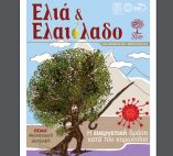 &Eta; &epsilon;&upsilon;&epsilon;&rho;&gamma;&epsilon;&tau;&iota;&kappa;ή &delta;&rho;ά&sigma;&eta; &tau;&eta;&sigmaf; &Mu;&epsilon;&sigma;&omicron;&gamma;&epsilon;&iota;&alpha;&kappa;ή&sigmaf; &Delta;&iota;&alpha;&tau;&rho;&omicron;&phi;ή&sigmaf; &kappa;&alpha;&tau;ά &tau;&omicron;&upsilon; &kappa;&omicron;&rho;&omega;&nu;&omicron;ϊ&omicron;ύ