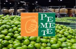 &Mu;&epsilon; &epsilon;&pi;&iota;&tau;&upsilon;&chi;ί&alpha; &omicron;&lambda;&omicron;&kappa;&lambda;&eta;&rho;ώ&theta;&eta;&kappa;&epsilon; &eta; &Epsilon;&tau;ή&sigma;&iota;&alpha; &Tau;&alpha;&kappa;&tau;&iota;&kappa;ή &Gamma;&epsilon;&nu;&iota;&kappa;ή &Sigma;&upsilon;&nu;έ&lambda;&epsilon;&upsilon;&sigma;&eta; &tau;&omega;&nu; &Mu;&epsilon;&lambda;ώ&nu; &tau;&eta;&sigmaf; &Pi;&Epsilon;&Mu;&Epsilon;&Tau;&Epsilon; &sigma;&tau;&eta; &Lambda;ά&rho;&iota;&sigma;&alpha;