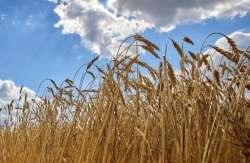 &Alpha;ύ&xi;&eta;&sigma;&eta; 22,7% &sigma;&tau;&iota;&sigmaf; &epsilon;&xi;&alpha;&gamma;&omega;&gamma;έ&sigmaf; &alpha;&gamma;&rho;&omicron;&tau;&iota;&kappa;ώ&nu; &pi;&rho;&omicron;ϊό&nu;&tau;&omega;&nu; &tau;&omicron;&nu; &Iota;&omicron;ύ&lambda;&iota;&omicron; &sigma;&tau;&eta;&nu; &Omicron;&upsilon;&kappa;&rho;&alpha;&nu;ί&alpha;