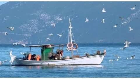 &Sigma;&upsilon;&nu;&epsilon;&delta;&rho;ί&alpha;&sigma;&eta; &tau;&omicron;&upsilon; &Sigma;&upsilon;&mu;&beta;&omicron;&upsilon;&lambda;ί&omicron;&upsilon; &Alpha;&lambda;&iota;&epsilon;ί&alpha;&sigmaf; &tau;&eta;&sigmaf; &Pi;&epsilon;&rho;&iota;&phi;έ&rho;&epsilon;&iota;&alpha;&sigmaf; &Kappa;&rho;ή&tau;&eta;&sigmaf;