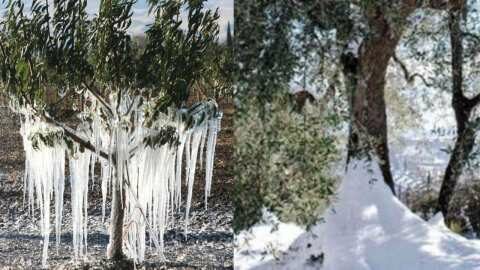 &Pi;&omega;&sigmaf; &epsilon;&pi;&iota;&delta;&rho;&omicron;ύ&nu; &chi;&alpha;&mu;&eta;&lambda;έ&sigmaf; &theta;&epsilon;&rho;&mu;&omicron;&kappa;&rho;&alpha;&sigma;ί&epsilon;&sigmaf; &sigma;&tau;&alpha; &omicron;&pi;&omega;&rho;&omicron;&phi;ό&rho;&alpha; &delta;έ&nu;&tau;&rho;&alpha; &kappa;&alpha;&iota; &tau;&eta;&nu; &epsilon;&lambda;&iota;ά