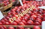 &Pi;&omicron;&iota;&epsilon;&sigmaf; &omicron;&iota; &epsilon;&xi;&epsilon;&lambda;ί&xi;&epsilon;&iota;&sigmaf; &gamma;&iota;&alpha; &tau;&omicron; Deminimis &sigma;&tau;&omicron;&upsilon;&sigmaf; &rho;&omicron;&delta;&alpha;&kappa;&iota;&nu;&omicron;&pi;&alpha;&rho;&alpha;&gamma;&omega;&gamma;&omicron;ύ&sigmaf; - &Delta;&eta;&lambda;ώ&sigma;&epsilon;&iota;&sigmaf; &Alpha;&rho;&alpha;&chi;&omega;&beta;ί&tau;&eta;, &Gamma;&iota;&alpha;&nu;&nu;&alpha;&kappa;ά&kappa;&eta; &kappa;&alpha;&iota; &Alpha;&nu;&tau;&iota;&pi;&rho;&omicron;έ&delta;&rho;&omicron;&upsilon; &Alpha;&Sigma; &Eta;&mu;&alpha;&theta;ί&alpha;&sigmaf;