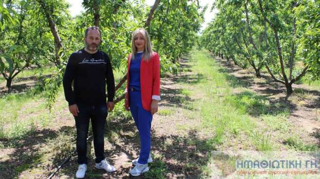 &Sigma;&upsilon;&nu;έ&nu;&tau;&epsilon;&upsilon;&xi;&eta; &Delta;ή&mu;&eta;&tau;&rho;&alpha;&sigmaf; &Tau;&rho;&epsilon;&mu;&pi;&epsilon;&lambda;ή &sigma;&tau;&eta;&nu; "&Eta;&Mu;&Alpha;&Theta;&Iota;&Omega;&Tau;&Iota;&Kappa;&Eta; &Gamma;&Eta;" (&Beta;ί&nu;&tau;&epsilon;&omicron;)