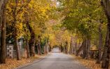 &Epsilon;&pi;ί&sigma;&kappa;&epsilon;&psi;&eta; &tau;&omicron;&upsilon; &Upsilon;&pi;&Alpha;&Alpha;&Tau;, &Mu;. &Beta;&omicron;&rho;ί&delta;&eta; &sigma;&tau;&eta; &Beta;&upsilon;&tau;ί&nu;&alpha; &Alpha;&rho;&kappa;&alpha;&delta;ί&alpha;&sigmaf;
