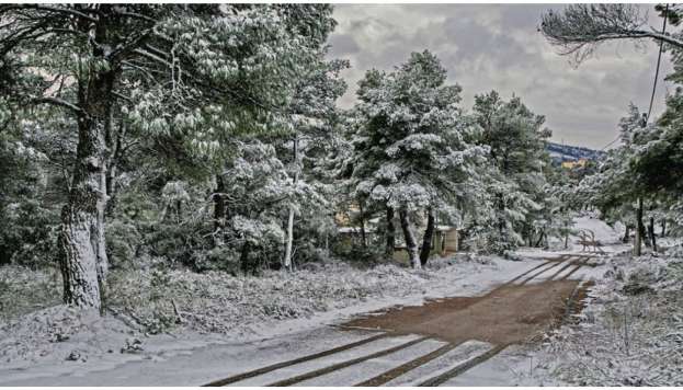 &Pi;ά&mu;&epsilon; &gamma;&iota;&alpha; &beta;&alpha;&rho;ύ &chi;&epsilon;&iota;&mu;ώ&nu;&alpha;; &Pi;ό&tau;&epsilon; &alpha;&nu;&alpha;&mu;έ&nu;&omicron;&nu;&tau;&alpha;&iota; &omicron;&iota; &pi;&rho;ώ&tau;&epsilon;&sigmaf; &chi;&iota;&omicron;&nu;&omicron;&pi;&tau;ώ&sigma;&epsilon;&iota;&sigmaf;