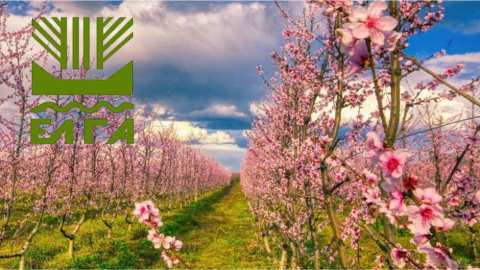 &Alpha;&nu;&alpha;&kappa;&omicron;ί&nu;&omega;&sigma;&eta; &pi;&omicron;&rho;&iota;&sigma;&mu;ά&tau;&omega;&nu; &epsilon;&kappa;&tau;ί&mu;&eta;&sigma;&eta;&sigmaf; &zeta;&eta;&mu;&iota;ώ&nu; &gamma;&iota;&alpha; &pi;&alpha;&gamma;&epsilon;&tau;ό (21.02.2025) - &Alpha;&phi;&omicron;&rho;ά &tau;&iota;&sigmaf; &Delta;.&Tau;.&Kappa; &Nu;έ&alpha;&sigmaf; &Nu;&iota;&kappa;&omicron;&mu;ή&delta;&epsilon;&iota;&alpha;&sigmaf; &kappa;&alpha;&iota; &Lambda;&upsilon;&kappa;&omicron;&gamma;&iota;ά&nu;&nu;&eta;&sigmaf; &sigma;&tau;&omicron; &Delta;ή&mu;&omicron; &Beta;έ&rho;&omicron;&iota;&alpha;&sigmaf;