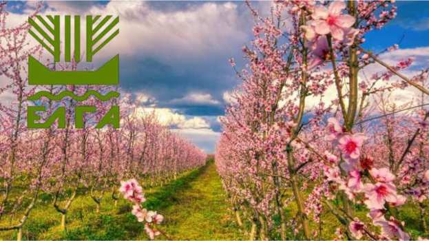 &Alpha;&nu;&alpha;&kappa;&omicron;ί&nu;&omega;&sigma;&eta; &pi;&omicron;&rho;&iota;&sigma;&mu;ά&tau;&omega;&nu; &epsilon;&kappa;&tau;ί&mu;&eta;&sigma;&eta;&sigmaf; &zeta;&eta;&mu;&iota;ώ&nu; &gamma;&iota;&alpha; &pi;&alpha;&gamma;&epsilon;&tau;ό (21.02.2025) - &Alpha;&phi;&omicron;&rho;ά &tau;&iota;&sigmaf; &Delta;.&Tau;.&Kappa; &Nu;έ&alpha;&sigmaf; &Nu;&iota;&kappa;&omicron;&mu;ή&delta;&epsilon;&iota;&alpha;&sigmaf; &kappa;&alpha;&iota; &Lambda;&upsilon;&kappa;&omicron;&gamma;&iota;ά&nu;&nu;&eta;&sigmaf; &sigma;&tau;&omicron; &Delta;ή&mu;&omicron; &Beta;έ&rho;&omicron;&iota;&alpha;&sigmaf;