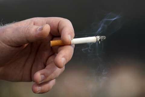 &Tau;&omicron; &pi;&alpha;&theta;&eta;&tau;&iota;&kappa;ό &kappa;ά&pi;&nu;&iota;&sigma;&mu;&alpha; &sigma;&upsilon;&nu;&delta;έ&epsilon;&tau;&alpha;&iota; &mu;&epsilon; &tau;&eta;&nu; &epsilon;&mu;&phi;ά&nu;&iota;&sigma;&eta; &kappa;&omicron;&lambda;&pi;&iota;&kappa;ή&sigmaf; &mu;&alpha;&rho;&mu;&alpha;&rho;&upsilon;&gamma;ή&sigmaf;