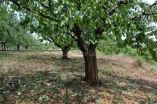 &Kappa;ά&lambda;&epsilon;&sigma;&mu;&alpha; &pi;&rho;&omicron;&sigmaf; &tau;&iota;&sigmaf; &pi;&epsilon;&rho;&iota;&phi;έ&rho;&epsilon;&iota;&epsilon;&sigmaf; &nu;&alpha; &pi;&rho;&omicron;&chi;&omega;&rho;ή&sigma;&omicron;&upsilon;&nu;  &sigma;&tau;&eta;&nu; έ&gamma;&kappa;&alpha;&iota;&rho;&eta; έ&nu;&alpha;&rho;&xi;&eta; &tau;&omicron;&upsilon; &pi;&rho;&omicron;&gamma;&rho;ά&mu;&mu;&alpha;&tau;&omicron;&sigmaf; &delta;&alpha;&kappa;&omicron;&kappa;&tau;&omicron;&nu;ί&alpha;&sigmaf; 2019