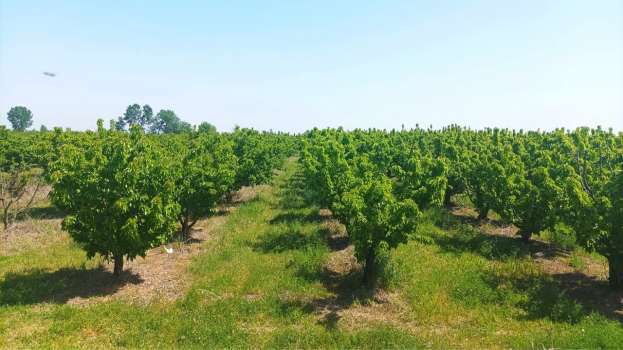 &Alpha;&nu;&alpha;&delta;&iota;ά&rho;&theta;&rho;&omega;&sigma;&eta; &Kappa;&alpha;&lambda;&lambda;&iota;&epsilon;&rho;&gamma;&epsilon;&iota;ώ&nu;: &Pi;ό&tau;&epsilon; &xi;&epsilon;&kappa;&iota;&nu;ά &eta; &upsilon;&pi;&omicron;&beta;&omicron;&lambda;ή &alpha;&iota;&tau;ή&sigma;&epsilon;&omega;&nu; &epsilon;&nu;ί&sigma;&chi;&upsilon;&sigma;&eta;&sigmaf; - &Tau;&omicron; &kappa;&epsilon;ί&mu;&epsilon;&nu;&omicron; &tau;&eta;&sigmaf; &alpha;&pi;ό&phi;&alpha;&sigma;&eta;&sigmaf; &tau;&rho;&omicron;&pi;&omicron;&pi;&omicron;ί&eta;&sigma;&eta;&sigmaf; &pi;&rho;ό&sigma;&kappa;&lambda;&eta;&sigma;&eta;&sigmaf;