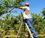 &Epsilon;&rho;ώ&tau;&eta;&sigma;&eta; &tau;&eta;&sigmaf; &Theta;&epsilon;&omicron;&delta;ώ&rho;&alpha;&sigmaf; &Tau;&zeta;ά&kappa;&rho;&eta; &sigma;&tau;&eta; &Beta;&omicron;&upsilon;&lambda;ή &gamma;&iota;&alpha; &tau;&eta;&nu; &pi;&alpha;&rho;&alpha;&mu;&omicron;&nu;ή &tau;&omega;&nu; &epsilon;&rho;&gamma;&alpha;&tau;ώ&nu; &gamma;&eta;&sigmaf;