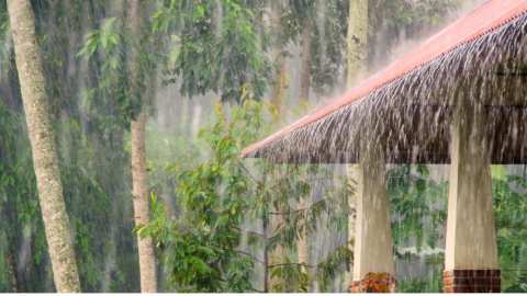 Έ&nu;&tau;&omicron;&nu;&alpha; &kappa;&alpha;&iota;&rho;&iota;&kappa;ά &phi;&alpha;&iota;&nu;ό&mu;&epsilon;&nu;&alpha;: &Alpha;&nu;&alpha;&kappa;&omicron;ί&nu;&omega;&sigma;&eta; &Pi;&epsilon;&rho;. &Kappa;&epsilon;&nu;&tau;&rho;&iota;&kappa;ή&sigmaf; &Mu;&alpha;&kappa;&epsilon;&delta;&omicron;&nu;ί&alpha;&sigmaf; - &Omicron;&delta;&eta;&gamma;ί&epsilon;&sigmaf; &pi;&rho;&omicron;&sigmaf; &tau;&omicron;&upsilon;&sigmaf; &pi;&omicron;&lambda;ί&tau;&epsilon;&sigmaf;