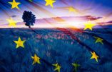 &Mu;&epsilon;&tau;&alpha;&rho;&rho;ύ&theta;&mu;&iota;&sigma;&eta; &tau;&eta;&sigmaf; &gamma;&epsilon;&omega;&rho;&gamma;&iota;&kappa;ή&sigmaf; &pi;&omicron;&lambda;&iota;&tau;&iota;&kappa;ή&sigmaf; &tau;&eta;&sigmaf; &Epsilon;&Epsilon;: ​​&Tau;&omicron; &Sigma;&upsilon;&mu;&beta;&omicron;ύ&lambda;&iota;&omicron; &pi;&rho;έ&pi;&epsilon;&iota; &nu;&alpha; &epsilon;ί&nu;&alpha;&iota; &pi;&iota;&omicron; &epsilon;&upsilon;έ&lambda;&iota;&kappa;&tau;&omicron; - &Delta;&epsilon;&nu; &mu;&pi;&omicron;&rho;&omicron;ύ&mu;&epsilon; &nu;&alpha; &chi;ά&sigma;&omicron;&upsilon;&mu;&epsilon; &pi;&epsilon;&rho;&iota;&sigma;&sigma;ό&tau;&epsilon;&rho;&omicron; &chi;&rho;ό&nu;&omicron;
