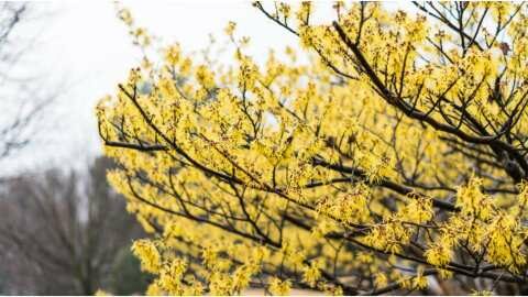&Alpha;&mu;&alpha;&mu;&epsilon;&lambda;ί&delta;&alpha;: &Iota;&delta;&iota;ό&tau;&eta;&tau;&epsilon;&sigmaf; &kappa;&alpha;&iota; &omicron;&phi;έ&lambda;&eta; &sigma;&tau;&omicron;&nu; &omicron;&rho;&gamma;&alpha;&nu;&iota;&sigma;&mu;ό &mu;&alpha;&sigmaf; | &Alpha;&gamma;&rho;&omicron;&tau;&iota;&kappa;ά &nu;έ&alpha; &kappa;&alpha;&iota; &epsilon;&iota;&delta;ή&sigma;&epsilon;&iota;&sigmaf; imathiotikigi.gr