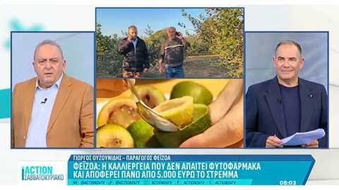 Feijoa &alpha;&pi;ό &tau;&eta;&nu; &epsilon;ύ&phi;&omicron;&rho;&eta; &gamma;&eta; &tau;&eta;&sigmaf; &Eta;&mu;&alpha;&theta;ί&alpha;&sigmaf;....&sigma;&tau;&eta;&nu; &epsilon;&kappa;&pi;&omicron;&mu;&pi;ή "ACTION &Sigma;&Alpha;&Beta;&Beta;&Alpha;&Tau;&Omicron;&Kappa;&Upsilon;&Rho;&Iota;&Alpha;&Kappa;&Omicron;" &tau;&omicron;&upsilon; Action 24 TV (&Beta;ί&nu;&tau;&epsilon;&omicron;)