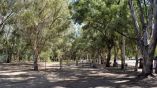 &Delta;&alpha;&sigma;&omicron;&pi;&omicron;&nu;&iota;&kappa;ά &epsilon;ί&delta;&eta; &gamma;&iota;&alpha; &tau;&eta; &theta;&omega;&rho;ά&kappa;&iota;&sigma;&eta; &tau;&omega;&nu; &pi;ό&lambda;&epsilon;&omega;&nu; &sigma;&tau;&eta;&nu; &kappa;&lambda;&iota;&mu;&alpha;&tau;&iota;&kappa;ή &alpha;&lambda;&lambda;&alpha;&gamma;ή &alpha;&nu;&alpha;&zeta;&eta;&tau;ά &tau;&omicron; &Alpha;&Pi;&Theta; &sigma;&tau;&omicron;&upsilon;&sigmaf; &tau;&rho;&epsilon;&iota;&sigmaf; &phi;&alpha;&iota;&nu;&omicron;&lambda;&omicron;&gamma;&iota;&kappa;&omicron;ύ&sigmaf; &kappa;ή&pi;&omicron;&upsilon;&sigmaf;