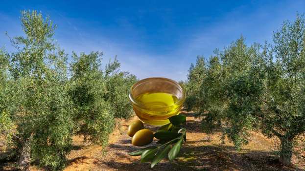 12&omicron;&sigmaf; &Pi;&alpha;&gamma;&kappa;&rho;ή&tau;&iota;&omicron;&sigmaf; &Delta;&iota;&alpha;&gamma;&omega;&nu;&iota;&sigma;&mu;ό&sigmaf; &Tau;&upsilon;&pi;&omicron;&pi;&omicron;&iota;&eta;&mu;έ&nu;&omicron;&upsilon; &Epsilon;&lambda;&alpha;&iota;&omicron;&lambda;ά&delta;&omicron;&upsilon; &Tau;&rho;&omicron;&pi;&omicron;&pi;&omicron;ί&eta;&sigma;&eta; &Eta;&mu;&epsilon;&rho;&omicron;&mu;&eta;&nu;&iota;ώ&nu;