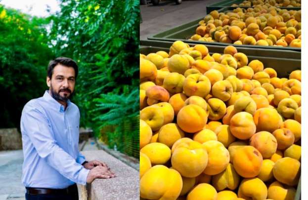 &Tau;ά&sigma;&omicron;&sigmaf; &Mu;&pi;&alpha;&rho;&tau;&zeta;ώ&kappa;&alpha;&sigmaf;: &Nu;&alpha; &tau;&eta;&rho;&eta;&theta;&omicron;ύ&nu; &omicron;&iota; &epsilon;&xi;&alpha;&gamma;&gamma;&epsilon;&lambda;ί&epsilon;&sigmaf; &gamma;&iota;&alpha; &tau;&eta;&nu; &tau;&iota;&mu;ή &beta;ά&sigma;&eta;&sigmaf; &sigma;&tau;&eta;&nu; &pi;ώ&lambda;&eta;&sigma;&eta; &tau;&omega;&nu; &sigma;&upsilon;&mu;&pi;ύ&rho;&eta;&nu;&omega;&nu;