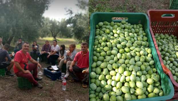 &Epsilon;&rho;&gamma;ά&tau;&epsilon;&sigmaf; &gamma;&eta;&sigmaf; &alpha;&pi;ό &Eta;&mu;&alpha;&theta;ί&alpha; &sigma;&upsilon;&gamma;&kappa;&omicron;&mu;ί&zeta;&omicron;&upsilon;&nu; &epsilon;&lambda;&iota;έ&sigmaf; &sigma;&tau;&eta; &Chi;&alpha;&lambda;&kappa;&iota;&delta;&iota;&kappa;ή - &Delta;&eta;&lambda;ώ&sigma;&epsilon;&iota;&sigmaf; &Pi;&rho;&omicron;έ&delta;&rho;&omicron;&upsilon; &Alpha;&Sigma; &Sigma;ή&mu;&alpha;&nu;&tau;&rho;&omega;&nu; &sigma;&tau;&eta;&nu; &Eta;&Mu;&Alpha;&Theta;&Iota;&Omega;&Tau;&Iota;&Kappa;&Eta; &Gamma;&Eta;