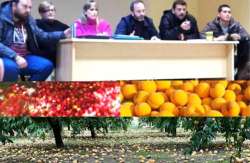 &Alpha;&Sigma; &Eta;&mu;&alpha;&theta;ί&alpha;&sigmaf; &pi;&rho;&omicron;&sigmaf; &Kappa;&upsilon;&beta;έ&rho;&nu;&eta;&sigma;&eta;: &laquo;&Sigma;&tau;&rho;&epsilon;&mu;&mu;&alpha;&tau;&iota;&kappa;έ&sigmaf; &epsilon;&nu;&iota;&sigma;&chi;ύ&sigma;&epsilon;&iota;&sigmaf; &sigma;&tau;&omicron;&upsilon;&sigmaf; &rho;&omicron;&delta;&alpha;&kappa;&iota;&nu;&omicron;&pi;&alpha;&rho;&alpha;&gamma;&omega;&gamma;&omicron;ύ&sigmaf; ά&mu;&epsilon;&sigma;&alpha;&raquo;