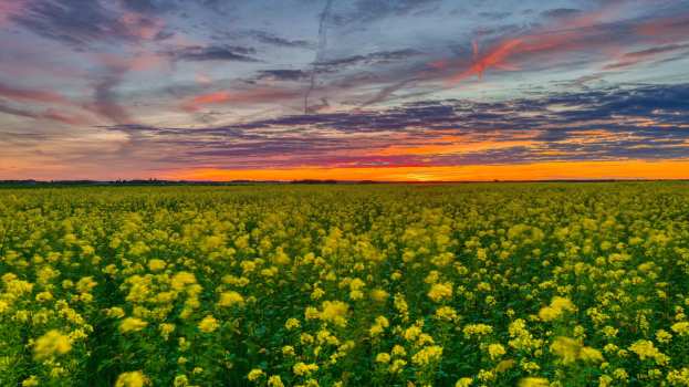 &Alpha;&Alpha;&Delta;&Epsilon;: &Epsilon;&Alpha;&Epsilon; 2025 &ndash; &Alpha;&nu;ά&rho;&tau;&eta;&sigma;&eta; &alpha;&pi;&omicron;&tau;&epsilon;&lambda;&epsilon;&sigma;&mu;ά&tau;&omega;&nu; Monitoring &kappa;&alpha;&iota; &upsilon;&pi;&omicron;&beta;&omicron;&lambda;ή &phi;&omega;&tau;&omicron;&gamma;&rho;&alpha;&phi;&iota;ώ&nu; &mu;&epsilon; &gamma;&epsilon;&omega;&sigma;ή&mu;&alpha;&nu;&sigma;&eta;