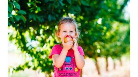 &Epsilon;&tau;&omicron;&iota;&mu;&omicron;&pi;ό&lambda;&epsilon;&mu;&epsilon;&sigmaf; &nu;έ&epsilon;&sigmaf; &pi;&omicron;&iota;&kappa;&iota;&lambda;ί&epsilon;&sigmaf; &mu;ή&lambda;&omicron;&upsilon; - Έ&tau;&omicron;&iota;&mu;&epsilon;&sigmaf; &nu;&alpha; &alpha;&nu;&tau;&iota;&mu;&epsilon;&tau;&omicron;&pi;ή&sigma;&omicron;&upsilon;&nu; &tau;&eta;&nu; &Kappa;&lambda;&iota;&mu;&alpha;&tau;&iota;&kappa;ή &Alpha;&lambda;&lambda;&alpha;&gamma;ή!