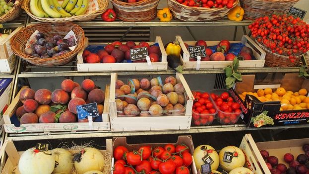 &Pi;&alpha;&rho;&alpha;&tau;&eta;&rho;&eta;&tau;ή&rho;&iota;&omicron; &tau;&eta;&sigmaf; &alpha;&gamma;&omicron;&rho;ά&sigmaf; &phi;&rho;&omicron;ύ&tau;&omega;&nu; &kappa;&alpha;&iota; &lambda;&alpha;&chi;&alpha;&nu;&iota;&kappa;ώ&nu;
