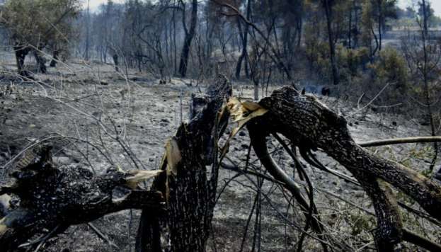 &Tau;&rho;&alpha;&gamma;&omega;&delta;ί&alpha; : 78&chi;&rho;&omicron;&nu;&omicron;&sigmaf; &beta;&rho;έ&theta;&eta;&kappa;&epsilon; &alpha;&pi;&alpha;&nu;&theta;&rho;&alpha;&kappa;&omega;&mu;έ&nu;&omicron;&sigmaf; &sigma;&epsilon; &chi;&omega;&rho;ά&phi;&iota;