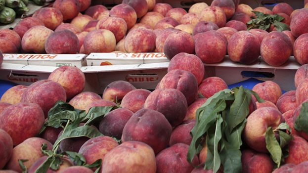 Ά&rho;&sigma;&eta; &tau;&omicron;&upsilon; &Rho;&omega;&sigma;&iota;&kappa;&omicron;ύ &epsilon;&mu;&pi;ά&rho;&gamma;&kappa;&omicron; &kappa;&alpha;&iota; &kappa;&alpha;&lambda;ύ&tau;&epsilon;&rho;&epsilon;&sigmaf; &pi;&rho;&omicron;&omicron;&pi;&tau;&iota;&kappa;έ&sigmaf; &gamma;&iota;&alpha; &tau;&iota;&sigmaf; &epsilon;&xi;&alpha;&gamma;&omega;&gamma;έ&sigmaf; &phi;&rho;&omicron;ύ&tau;&omega;&nu; &sigma;ύ&mu;&phi;&omega;&nu;&alpha; &mu;&epsilon; έ&kappa;&theta;&epsilon;&sigma;&eta; &tau;&eta;&sigmaf; &Epsilon;&Epsilon;