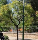 &Delta;ύ&omicron; &alpha;&pi;ό&pi;&epsilon;&iota;&rho;&epsilon;&sigmaf; &epsilon;&mu;&pi;&rho;&eta;&sigma;&mu;&omicron;ύ &sigma;&tau;&omicron; &Pi;&epsilon;&delta;ί&omicron;&nu; &tau;&omicron;&upsilon; Ά&rho;&epsilon;&omega;&sigmaf; &ndash;&Sigma;&upsilon;&nu;&epsilon;&lambda;ή&phi;&theta;&eta; &kappa;&alpha;&iota; &alpha;&nu;&alpha;&kappa;&rho;ί&nu;&epsilon;&tau;&alpha;&iota; ύ&pi;&omicron;&pi;&tau;&eta;