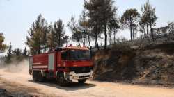 &Theta;&epsilon;&sigma;&sigma;&alpha;&lambda;&omicron;&nu;ί&kappa;&eta;: &Alpha;&pi;&alpha;&gamma;ό&rho;&epsilon;&upsilon;&sigma;&eta; &kappa;&upsilon;&kappa;&lambda;&omicron;&phi;&omicron;&rho;ί&alpha;&sigmaf; &sigma;&epsilon; &delta;&alpha;&sigma;&iota;&kappa;έ&sigmaf; &epsilon;&kappa;&tau;ά&sigma;&epsilon;&iota;&sigmaf; &Sigma;έ&iota;&chi; &Sigma;&omicron;&upsilon;, &Omega;&rho;&alpha;&iota;&omicron;&kappa;ά&sigma;&tau;&rho;&omicron;&upsilon;, &Pi;&upsilon;&lambda;&alpha;ί&alpha;&sigmaf; - &Chi;&omicron;&rho;&tau;&iota;ά&tau;&eta; &kappa;&alpha;&iota; &Theta;έ&rho;&mu;&eta;&sigmaf;