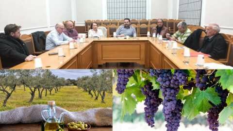 &Sigma;ύ&sigma;&kappa;&epsilon;&psi;&eta; &tau;&omicron;&upsilon; &Alpha;&nu;&tau;&iota;&pi;&epsilon;&rho;&iota;&phi;&epsilon;&rho;&epsilon;&iota;ά&rho;&chi;&eta; &Alpha;&gamma;&rho;&omicron;&tau;&iota;&kappa;ή&sigmaf; &Omicron;&iota;&kappa;&omicron;&nu;&omicron;&mu;ί&alpha;&sigmaf; &mu;&epsilon; &tau;&eta;&nu; &delta;&iota;&omicron;ί&kappa;&eta;&sigma;&eta; &tau;&omicron;&upsilon; &Gamma;&Epsilon;&Omega;&Tau;&Epsilon;&Epsilon; &Kappa;&rho;ή&tau;&eta;&sigmaf;